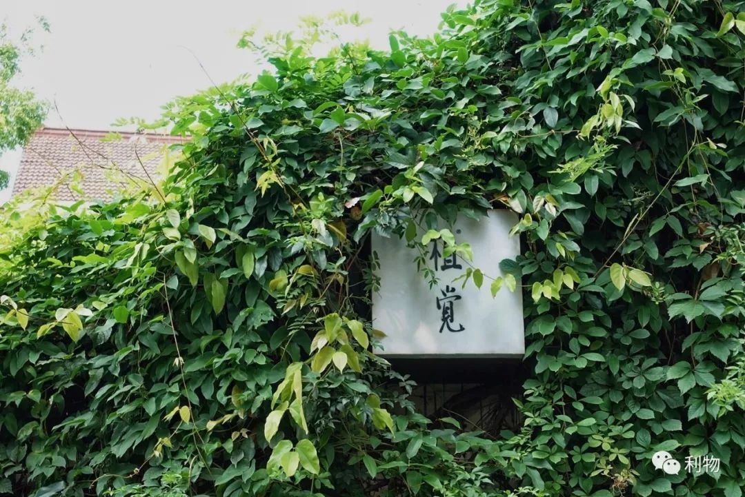 好物分享秋季爆款,秋秋好物分享推荐