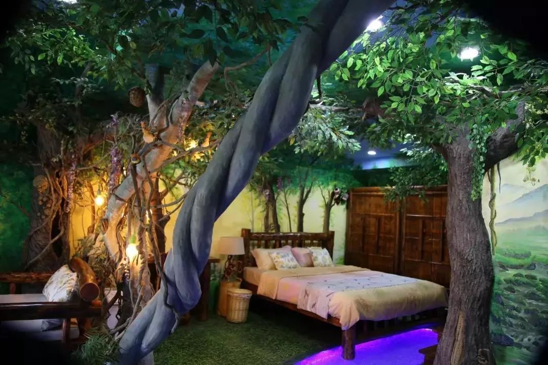 西海岸菊花展时间,西海岸菊展