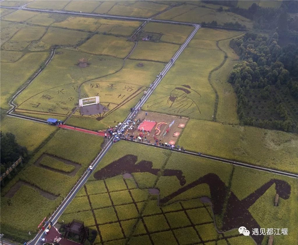 和五星红旗合影九宫格,与五星红旗合影