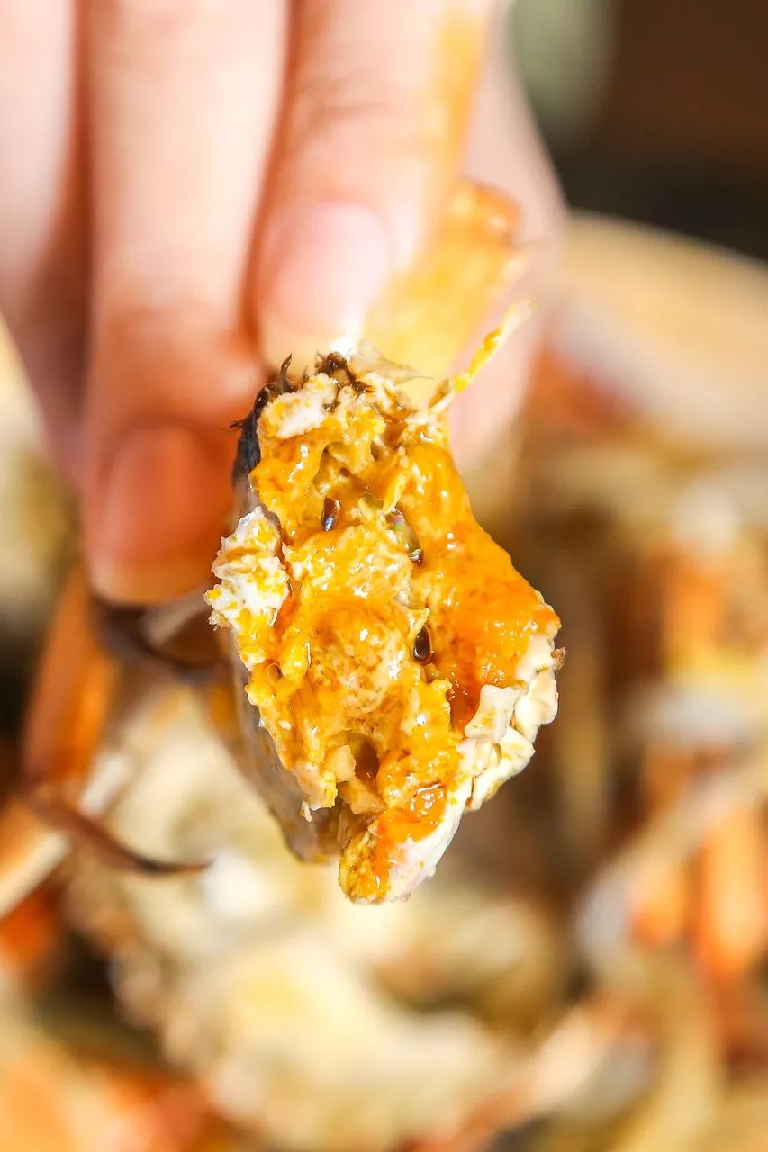 大闸蟹畅吃套餐,五星酒店大闸蟹