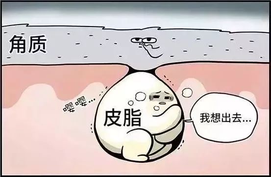 日本去角质磨砂膏,日本去角质脸部清洁第一名