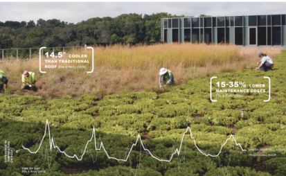 design国际设计大奖,中国设计智造大奖结果