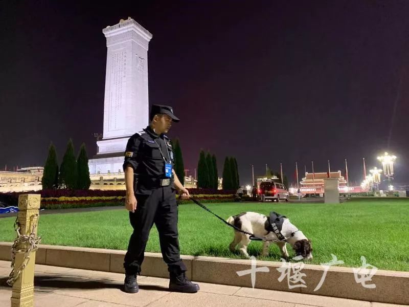 果然最帅的人都上交国家了,果然帅气的小哥哥都上交给国家了