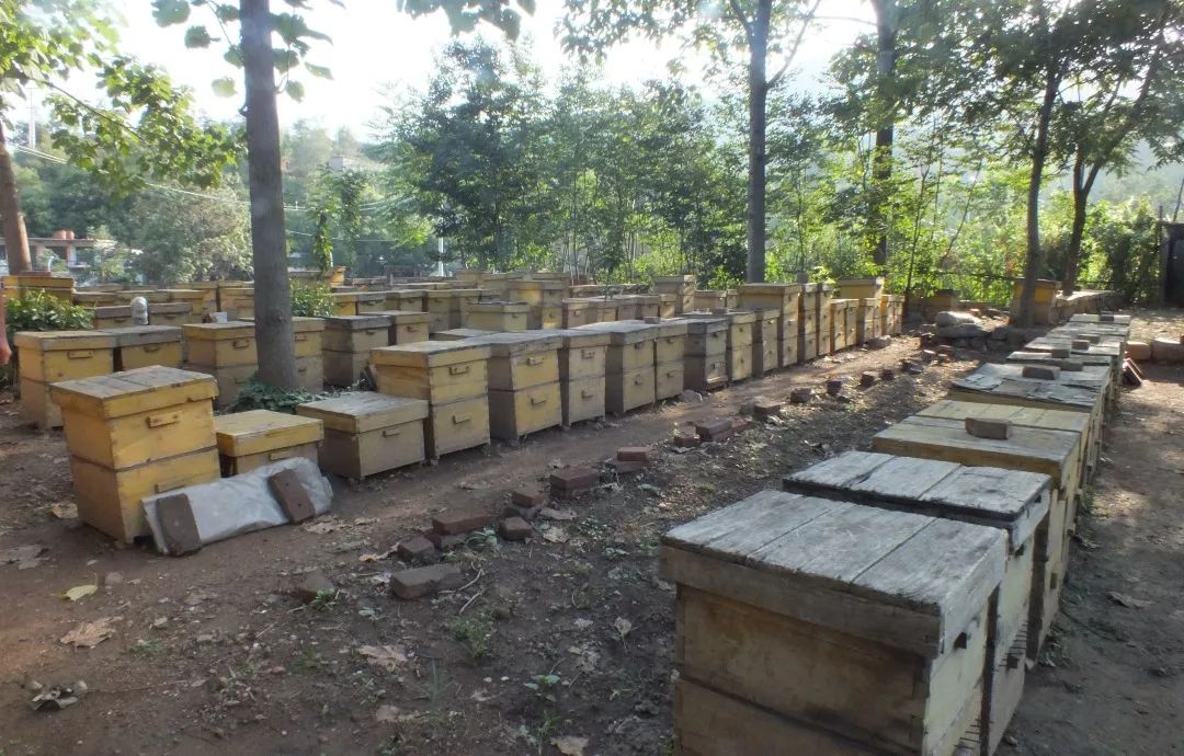 992濂界墿鎺ㄨ崘,鏂板搧992