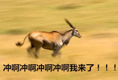 「ECCFC」在巴黎围观主播带货，礼物拿到手软，和大佬拉家常的机会，究竟是哪来的？