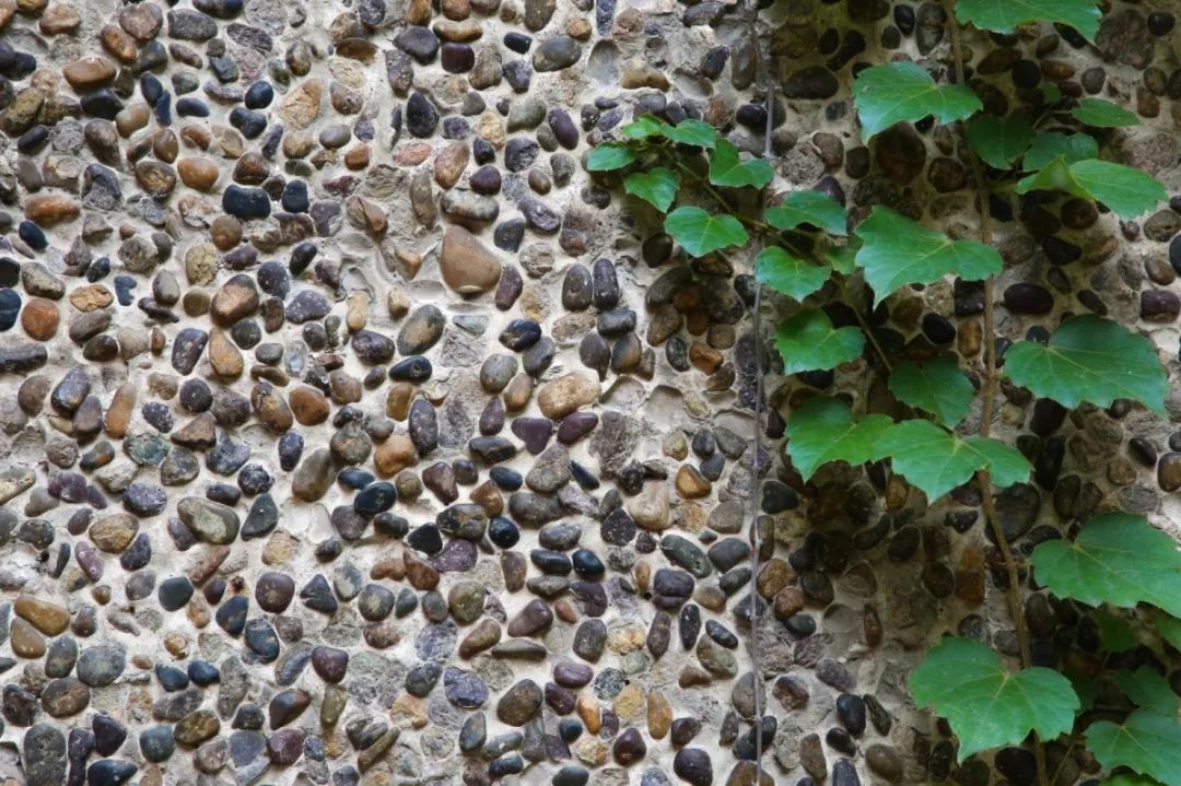 【探秘】长宁这条不起眼的小马路，竟藏有中国“烟卷大王”洋气的老宅……