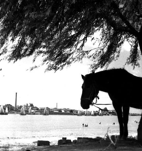 投资增强发展动力,投资基建拉动经济