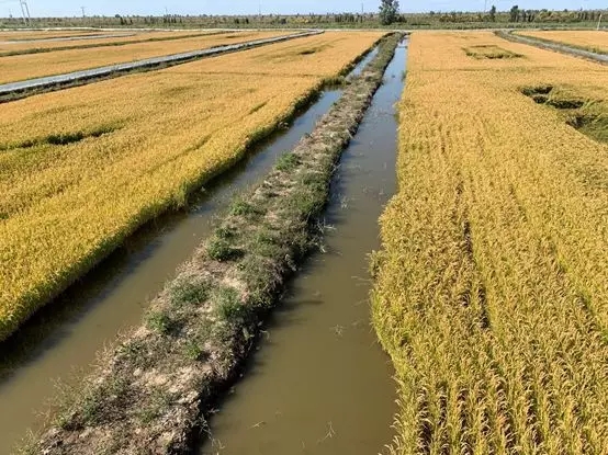 淡水养殖技术大全,淡水养殖如何赚钱