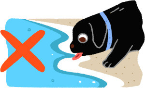 带孩子踏浪看海,带娃踏浪看海