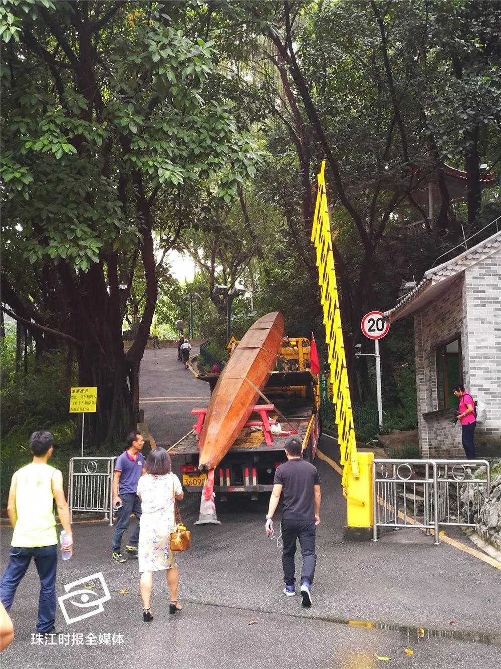 广东龙舟50年前,南海龙舟简介