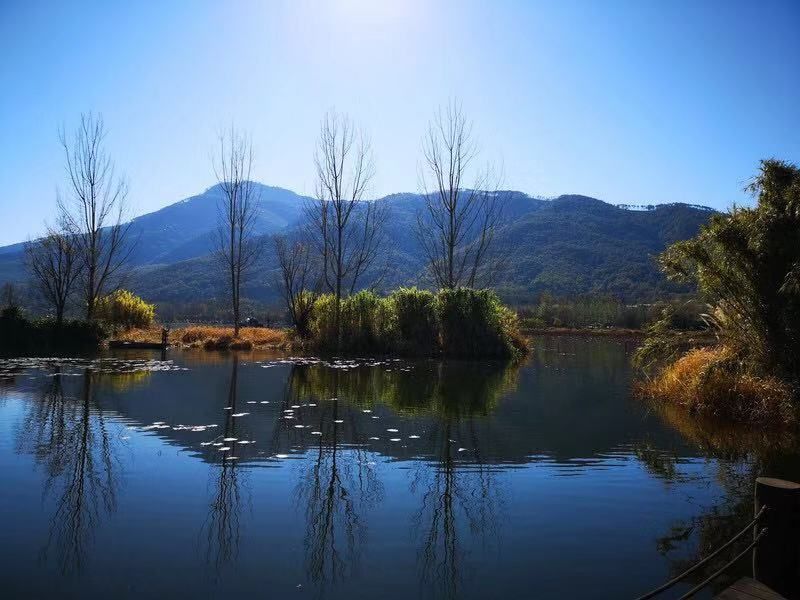 美得不用滤镜!带你邂逅“一个春天的城市”,一辈子一定要去一次