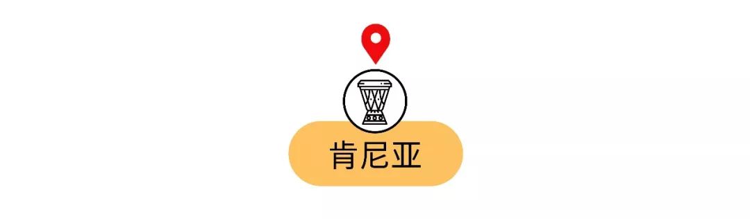 脑子进水才买的车,去国外必买的十种纪念品