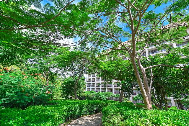 三亚旅游攻略自由行亲子游10日,超实用的4天3晚三亚逛吃攻略