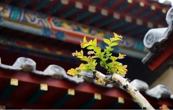 蓬莱夏天的海边,带你领略蓬莱好风景