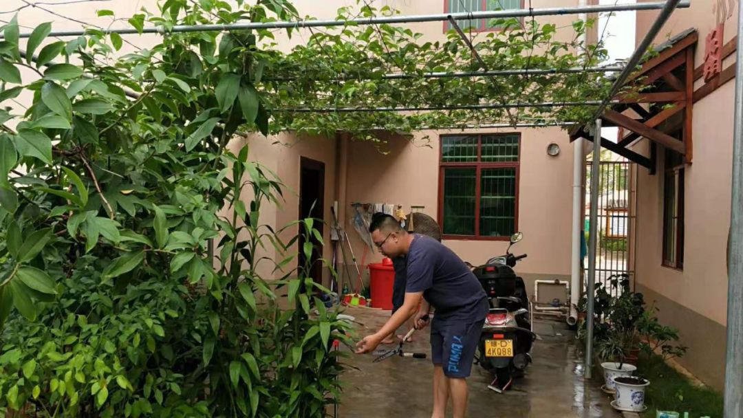 白沙绿色家庭,白沙绿色家园