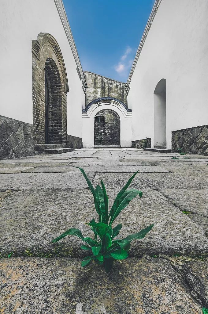 福州为什么会被厦门盖过？它旧得那么迷人