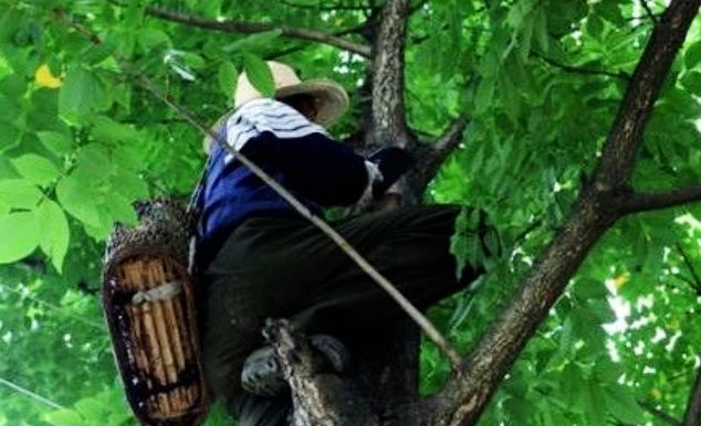 开州竹溪未来5年规划,竹溪中峰镇未来规划