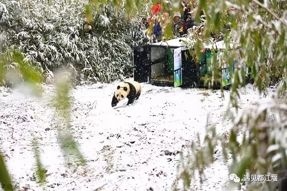 60-70年代都江堰的介绍,新中国都江堰