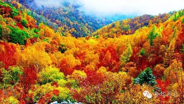 赏红叶地方,赏红叶最佳旅游地