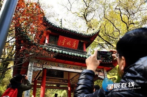 星辰文艺丨王超斌：走过四季，我独爱星城的秋……