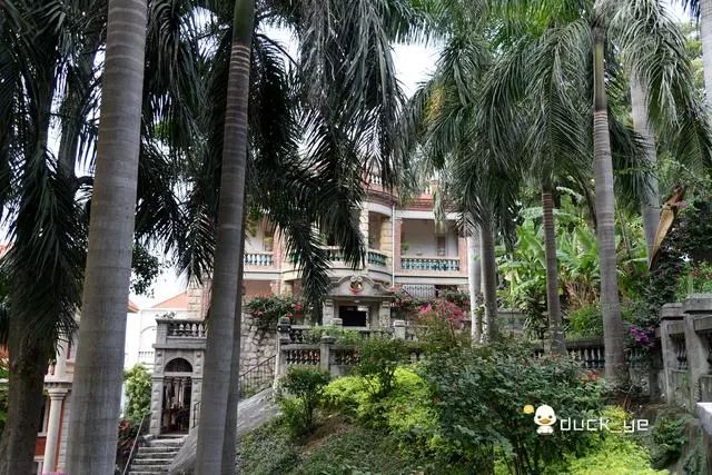 鼓浪屿三个必打卡的景点,鼓浪屿5大景点攻略