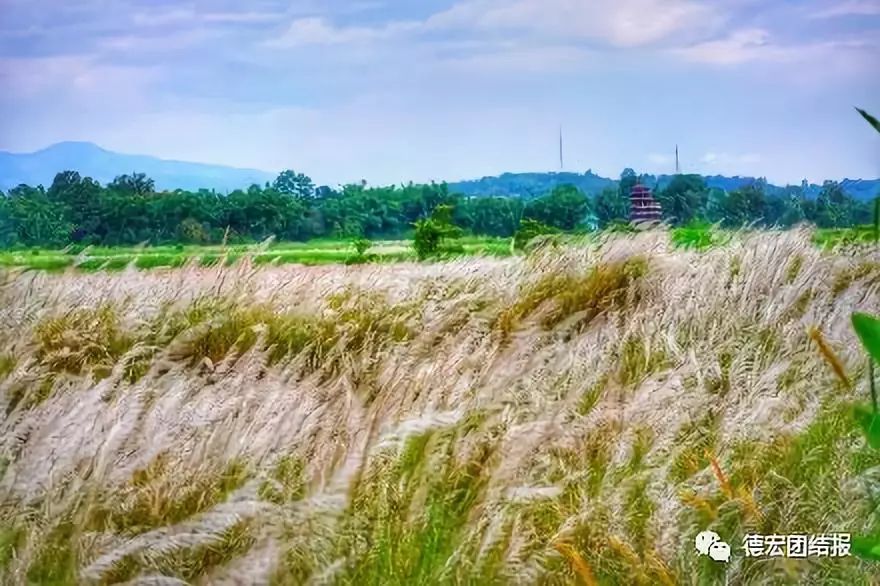 有种美叫德宏的美,镜语