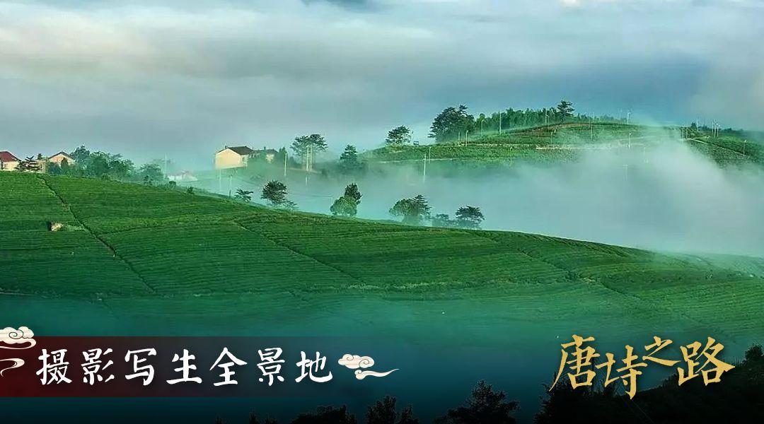 2020天姥山唐诗之路越野赛,天姥山唐诗之路越野赛