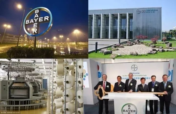 德国面料卫衣,摸着有点滑很舒服的面料卫衣