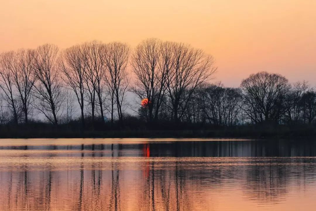 璇楄瘝涓毦璇荤殑20涓瓧,璇楄瘝涓渶甯歌100涓瓧