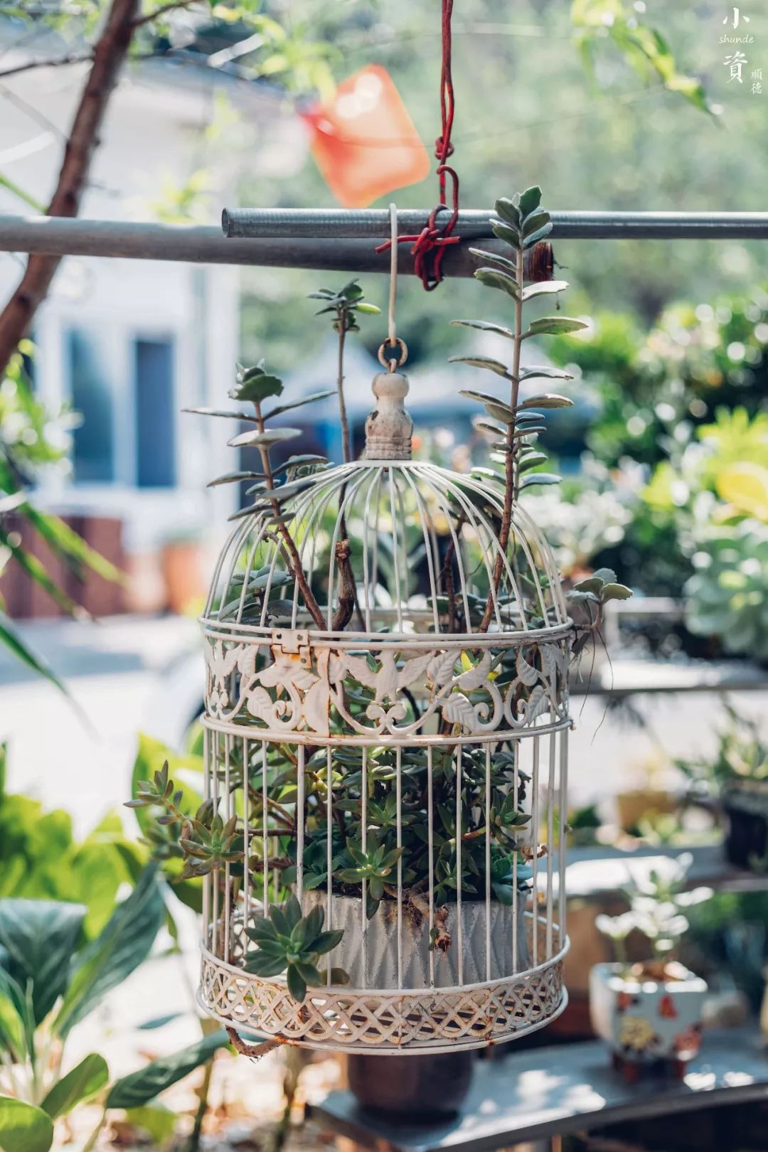 藏不住的美食挡不住的诱惑,藏不住的美食餐厅