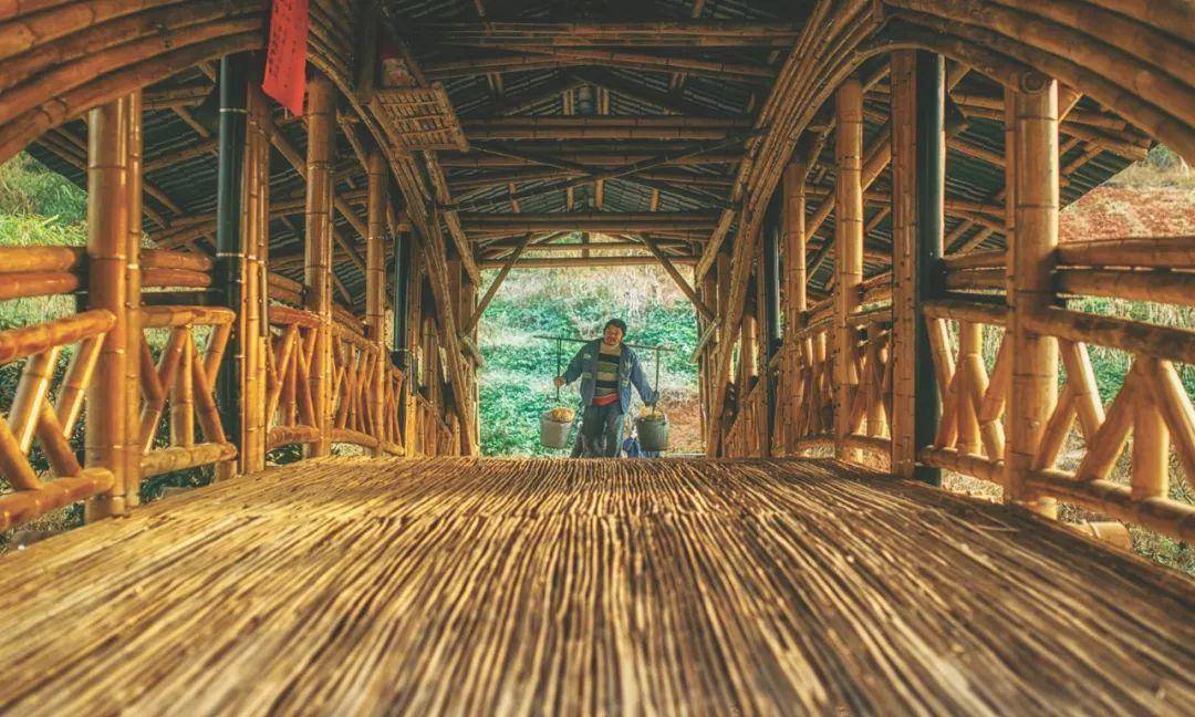 竹子的优点有哪些,竹子很有营养吗