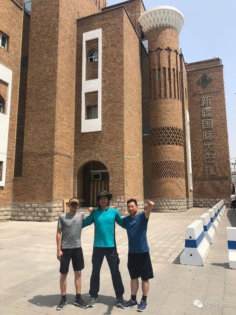 博格达雪莲,博格达天山雪莲