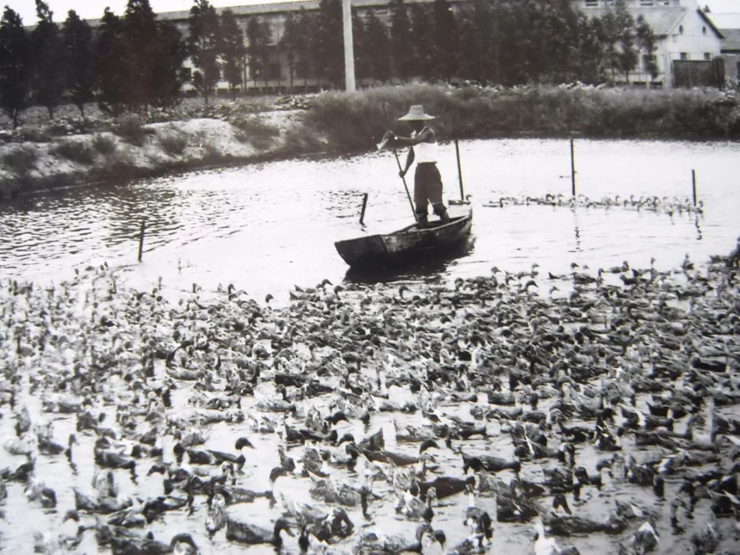 上海虹桥中心有什么美景,上海有个地方叫什么港