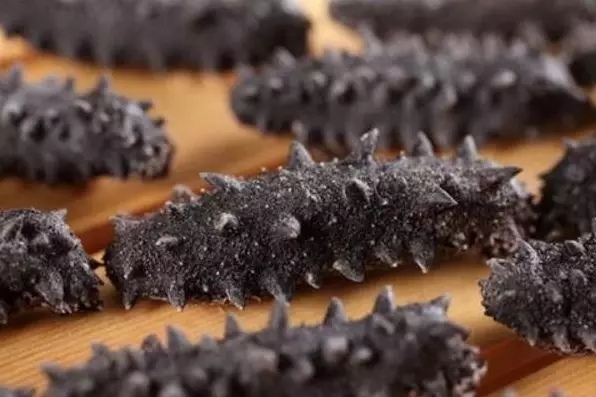 加拿大海参购买,购买加拿大海参