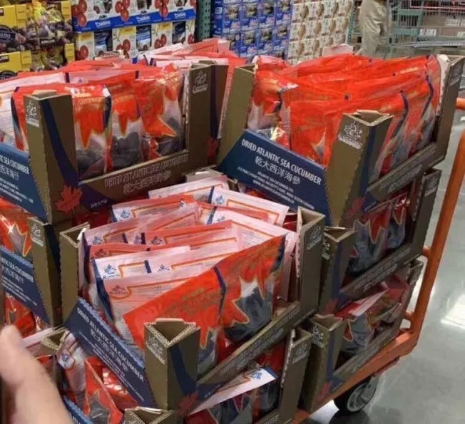 加拿大海参购买,购买加拿大海参