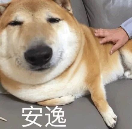 比胖还可怕的减肥是真的吗,比肥胖更可怕视频