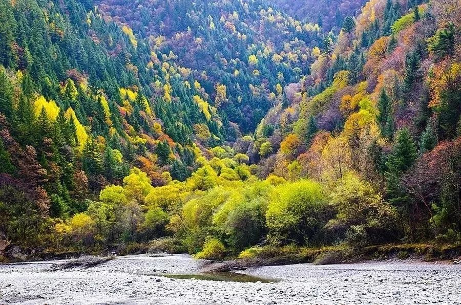 秋天的川西彩林,川西彩林最佳观赏地点