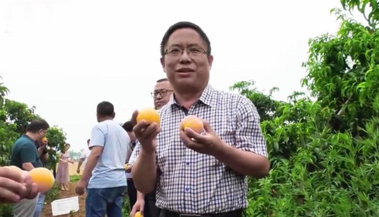 直播网红卖土特产,土特产直播带货网红拿多少