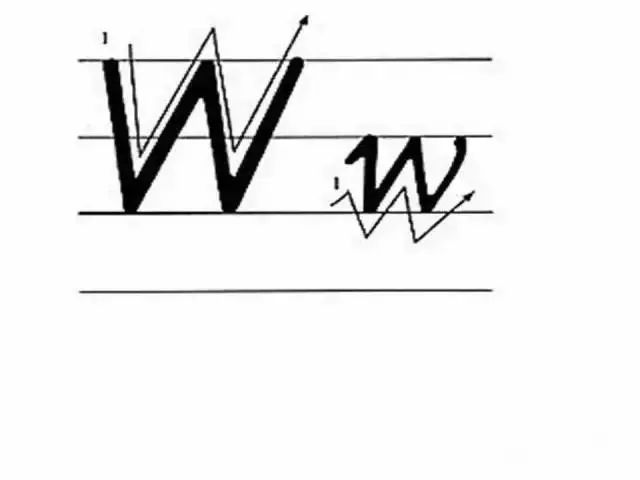 衡水体考题答题卡,衡水体答题卡效果图