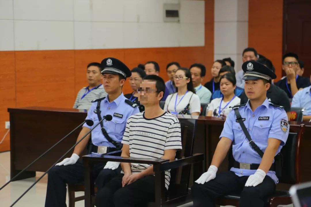 扫黑除恶|宜阳法院扫黑除恶成绩单！