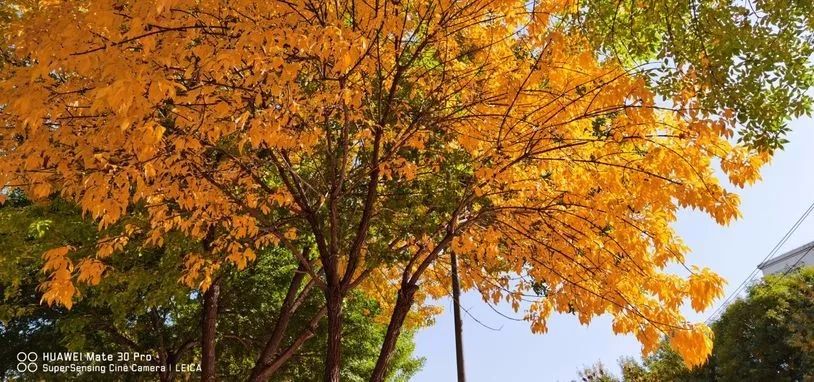 华为mate40pro和mate30pro5g,华为mate30pro5g版刷保时捷系统