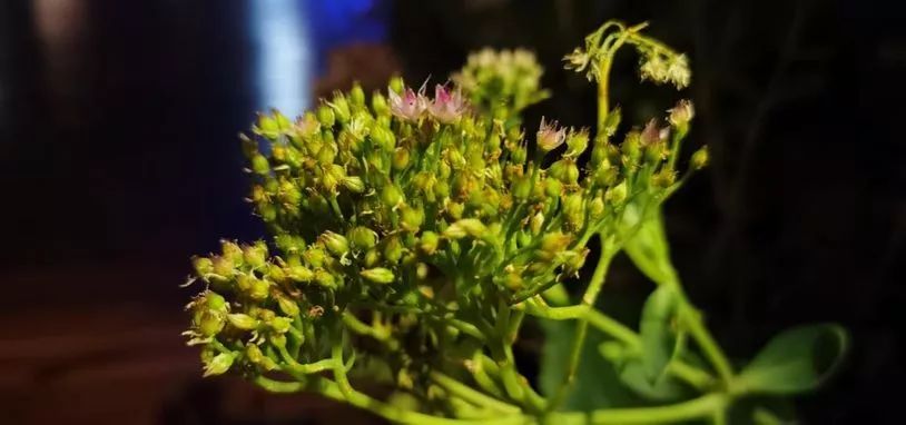 华为mate40pro和mate30pro5g,华为mate30pro5g版刷保时捷系统