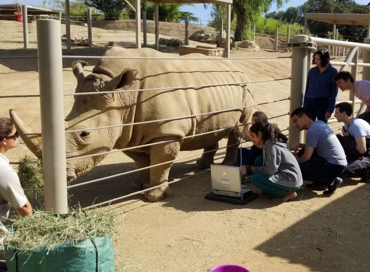 华裔科学家遇险,华裔科学家研发纳米机器人