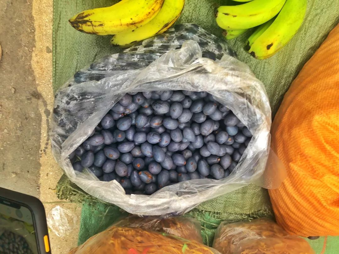 西双版纳傣族赶街视频,勐腊县勐仑镇赶街