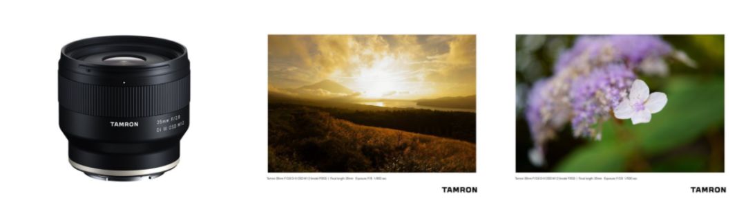 镜头fe24-240和腾龙28-200怎么选,腾龙fe卡口镜头最新消息