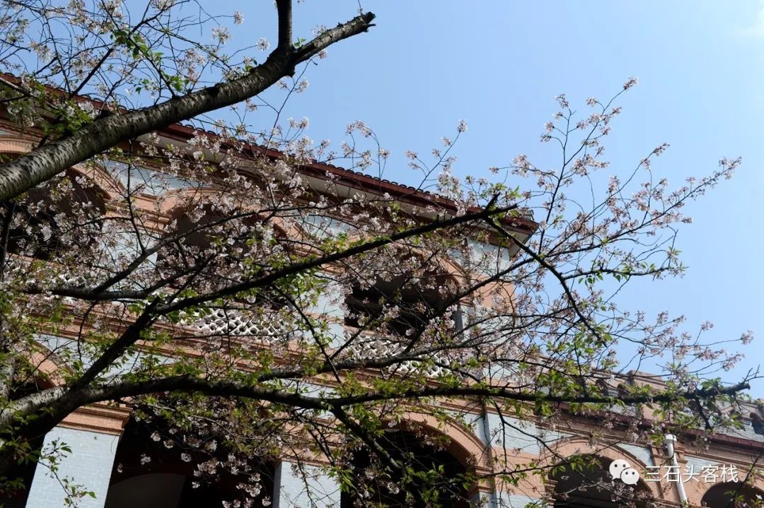 华政的简介,华政的故事