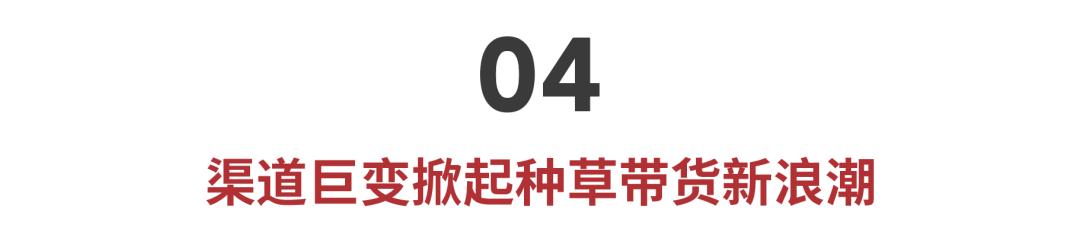 美妆品牌背后的秘密有哪些呢,全面剖析美妆品牌