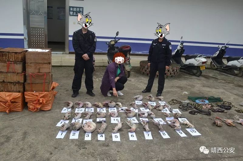 昆仑行动保健食品事件,2019年昆仑行动假药事件