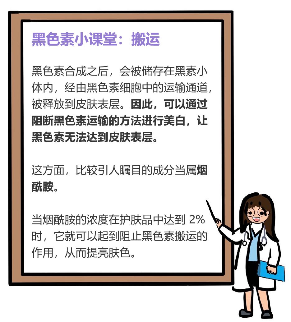 科学合理变白教程,变白最全攻略