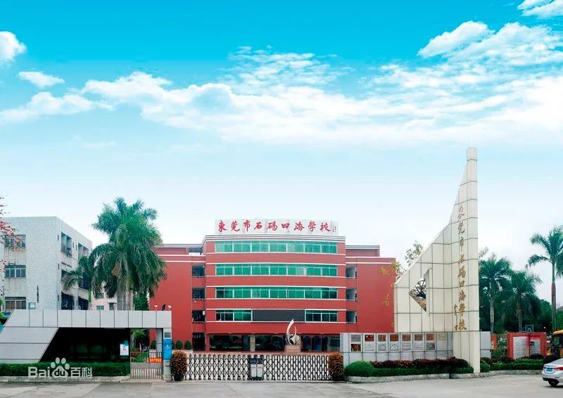 东莞通报学校整顿名单,东莞学校被查名单